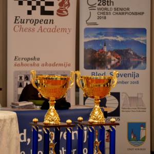 World Senior Chess Championship 2018 – report after round 9